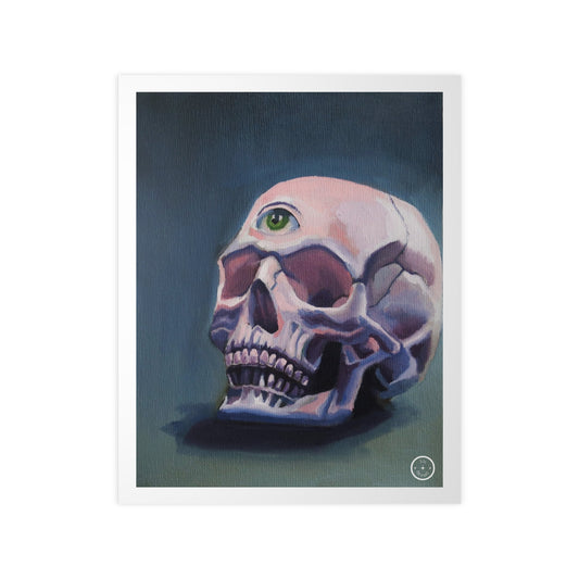 Skull Study